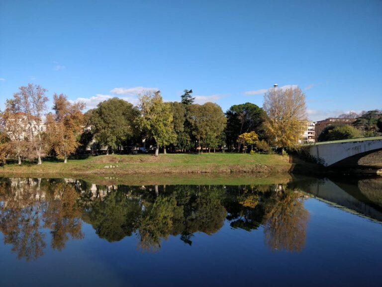 Firenze vara il piano verde: 1.500 alberi e nuovi parchi