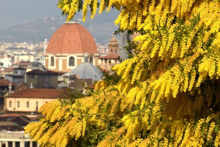 Musei gratis a Firenze l’8 marzo 2023 per la festa della donna