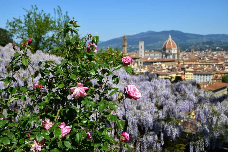 Musei gratis a Firenze il 25 aprile 2023