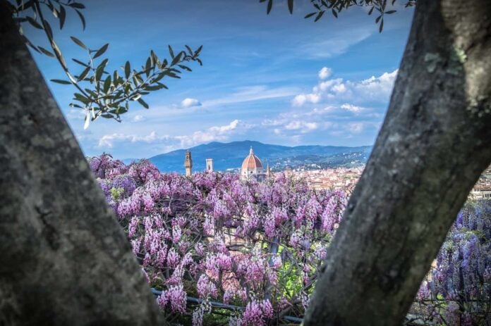 Musie firenze aperti 1 maggio 2023 gratis