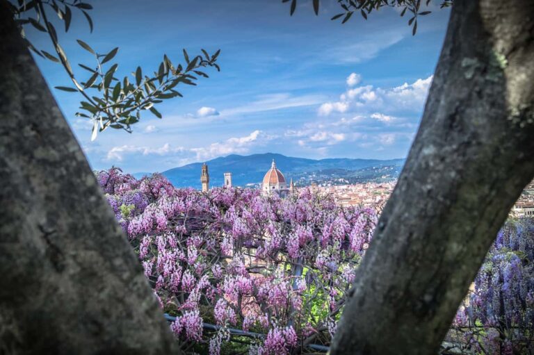 Musei aperti a Firenze il 1° maggio 2023