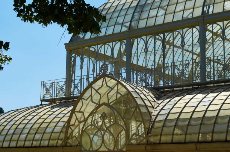 I segreti del Tepidarium, la serra nel Giardino dell’Orticoltura di Firenze