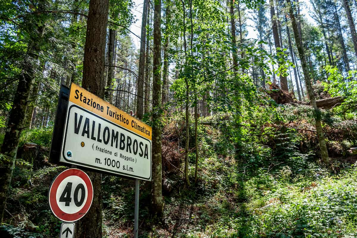 Vallombrosa