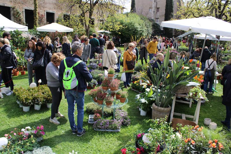 Firenze Flower Show mostra fiori giardino Corsini