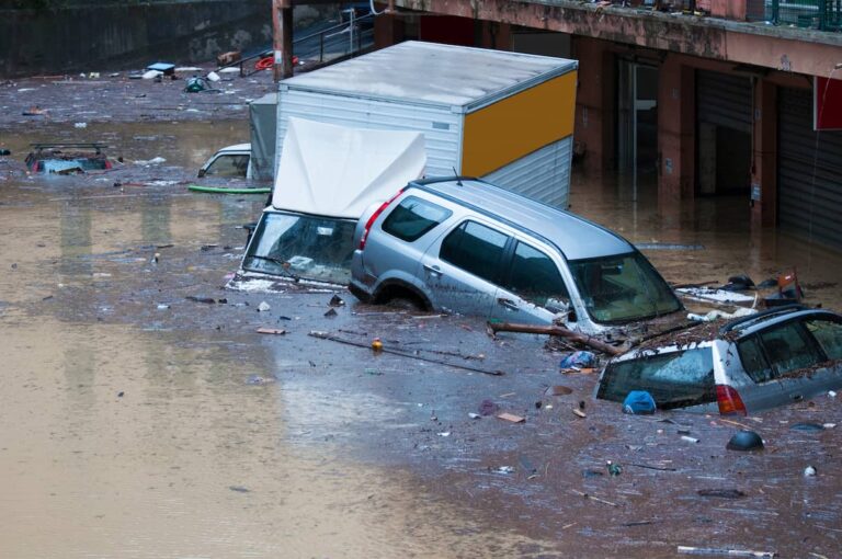 I 5 rischi per il surriscaldamento del Mediterraneo