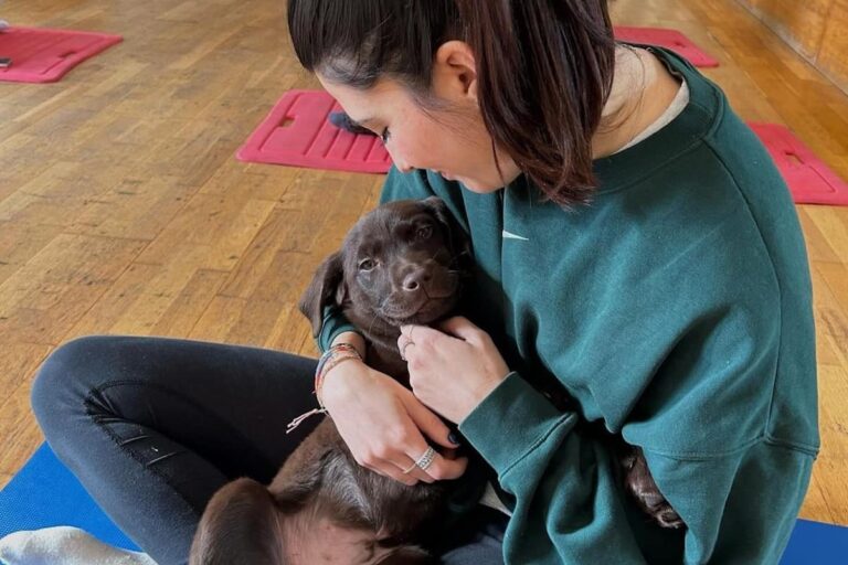 Il Puppy yoga arriva a Firenze, sul tappetino con i cuccioli
