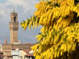 Musei Firenze festa donne gratis 8 marzo