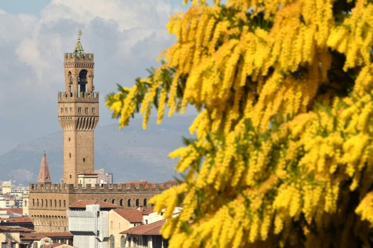 Musei gratis a Firenze l’8 marzo per tutte le donne