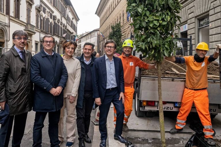 Come cambia via Cavour, tra aranci e bussini elettrici