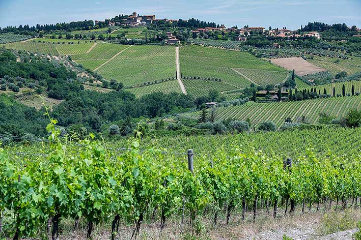 Cosa fare a Firenze nel weekend: eventi del 14-15 settembre