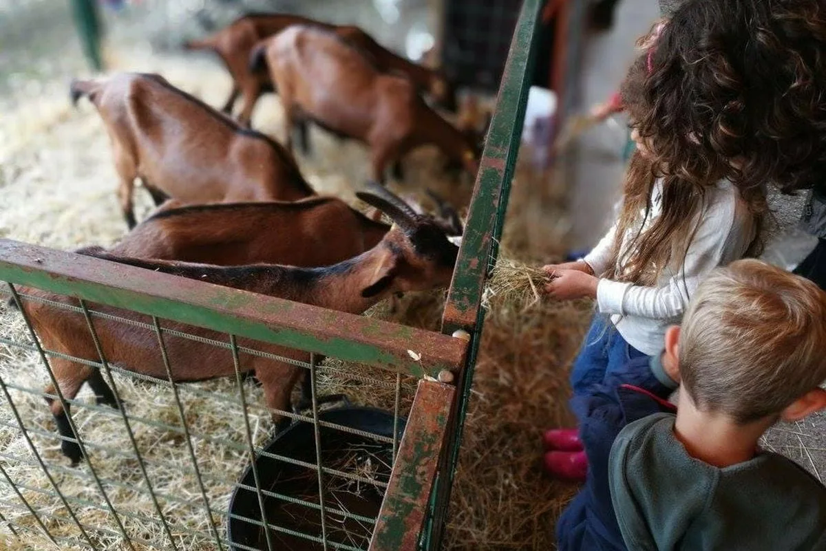 Antica Fiera Antella cosa fare weekend Firenze