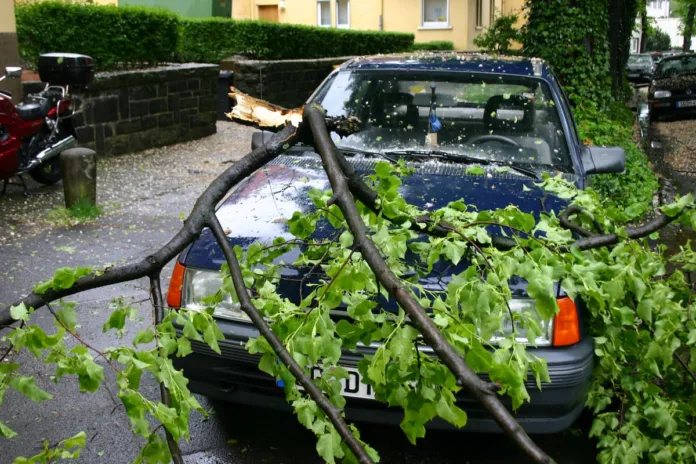 Allerta meteo vento forte