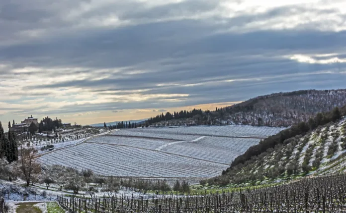 Freddo Toscana gelate