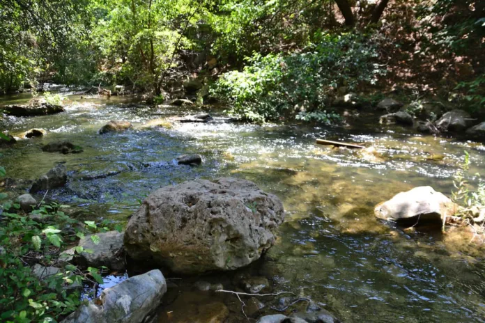 Sentiero bosco acqua cammini