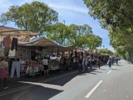 Mercatone Rionalissima Campo di Marte stadio
