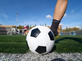 200 mila euro per lo sviluppo delle cooperative sportive Bando cooperazione e sport