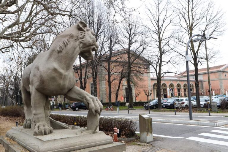 Giornata internazionale delle foreste: passeggiata guidata gratuita al Parco delle Cascine