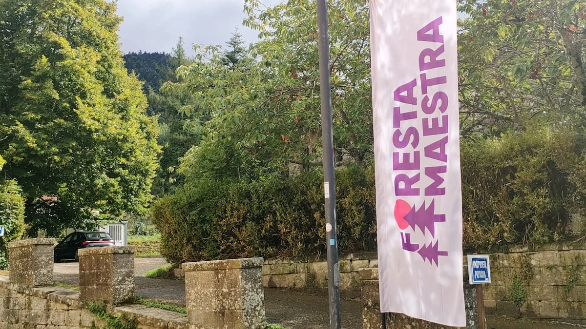 Cosa fare a Firenze nel weekend (20-21 giugno) 7 Foresta maestra