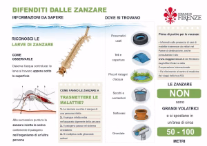 Zanzare a Firenze, ecco i consigli su come combatterle 2 consigli zanzare2