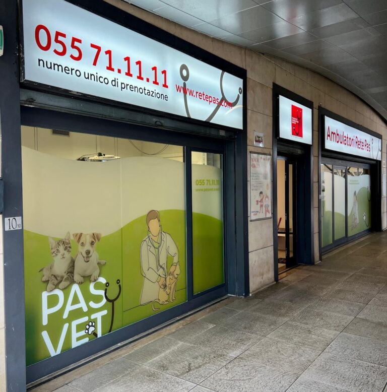 PAS Vet: a Firenze arrivano gli ambulatori veterinari delle Pubbliche Assistenze