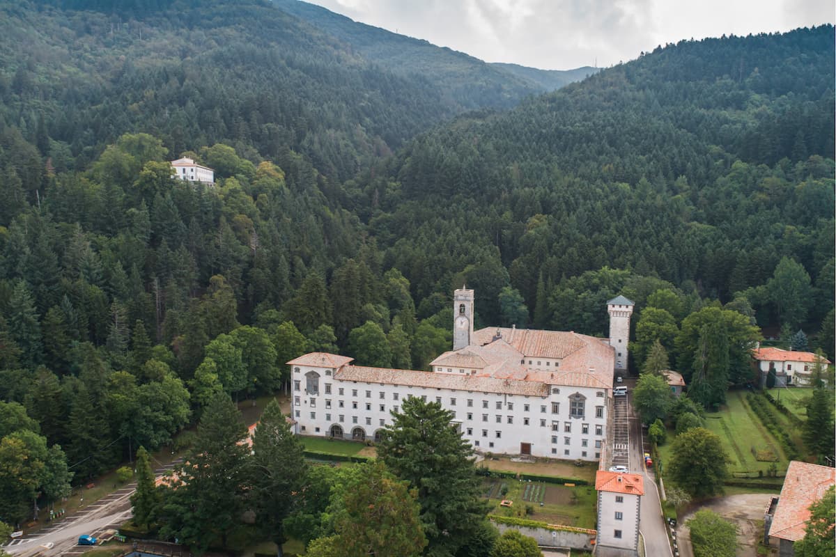 foresta maestra