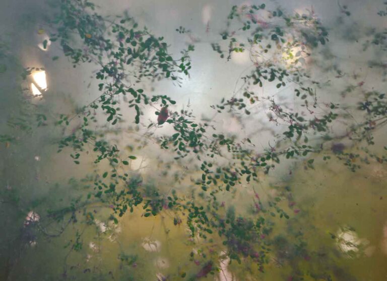 “Synchronic. Xu Xiaowei a Firenze”: nuova mostra al Rifugio Digitale