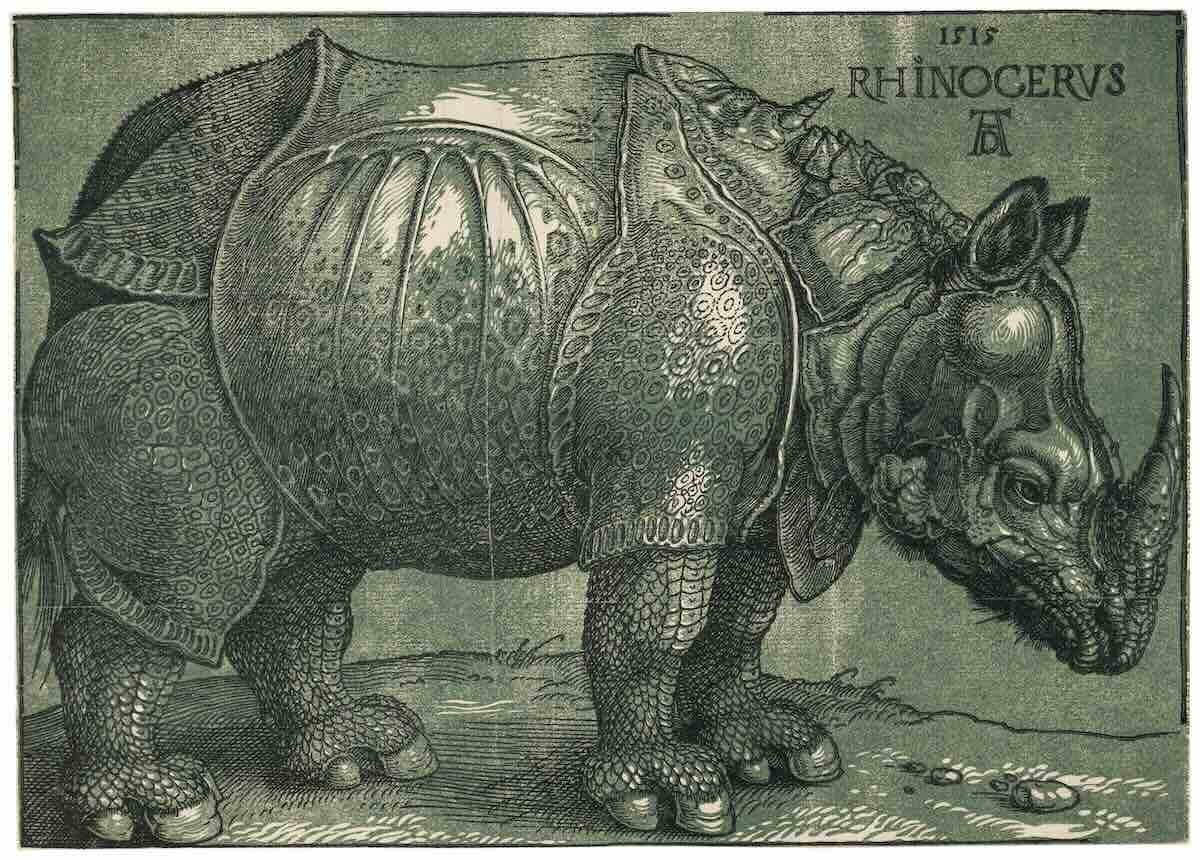 Dürer, Parmigianino e un rinoceronte: il Rinascimento a Firenze va oltre 1 Rinascimento a Firenze Palazzo Medici Riccardi